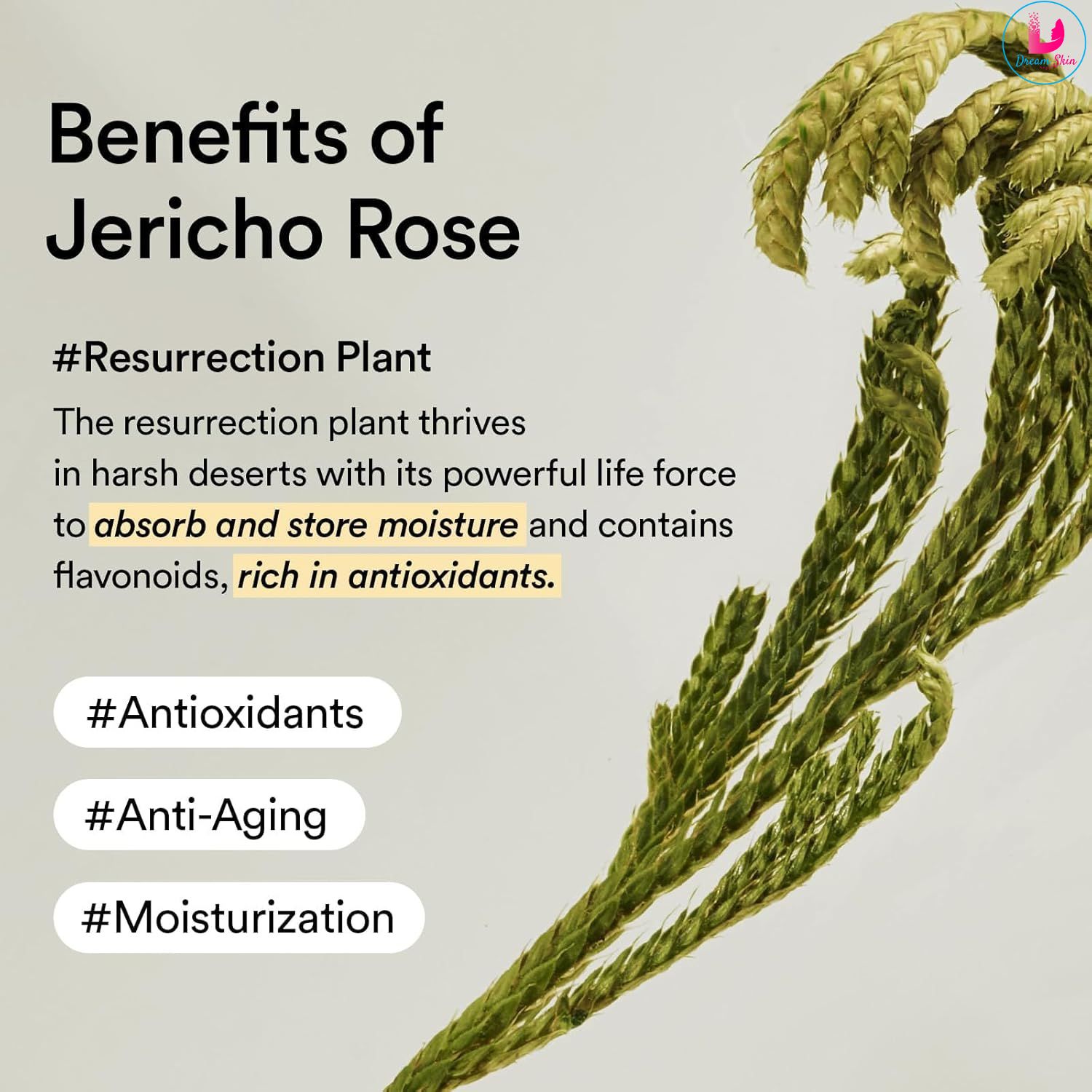 Abib Collagen Eye Patch Jericho Rose Jelly [60 pcs]